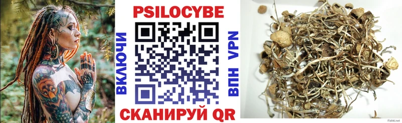 как найти наркотики  Опочка  Галлюциногенные грибы прущие грибы 